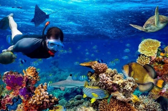 BSL Travels Packages